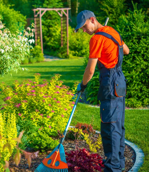 Professional Backyard Garden Cleaning Services