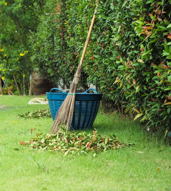 Professional Backyard Garden Cleaning Services