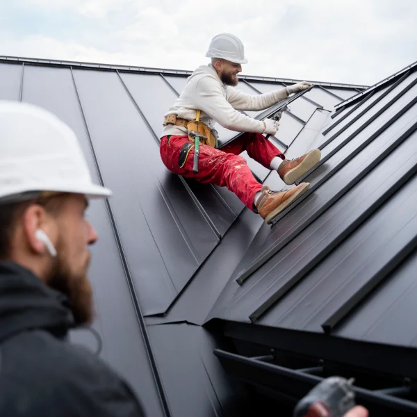 Revitalize Your Roof with Our Professional Roof Cleaning Services