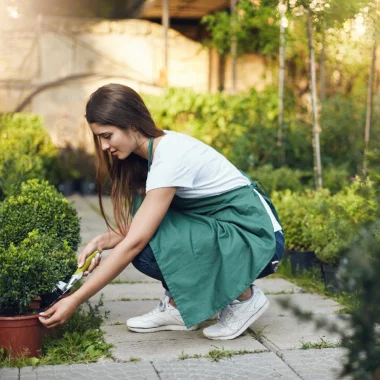 Backyard Garden (Lawn) Cleaning